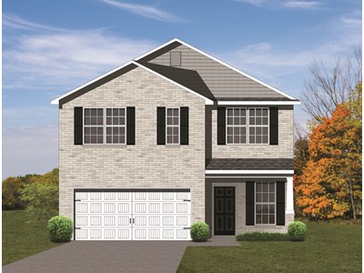 Elevation AE