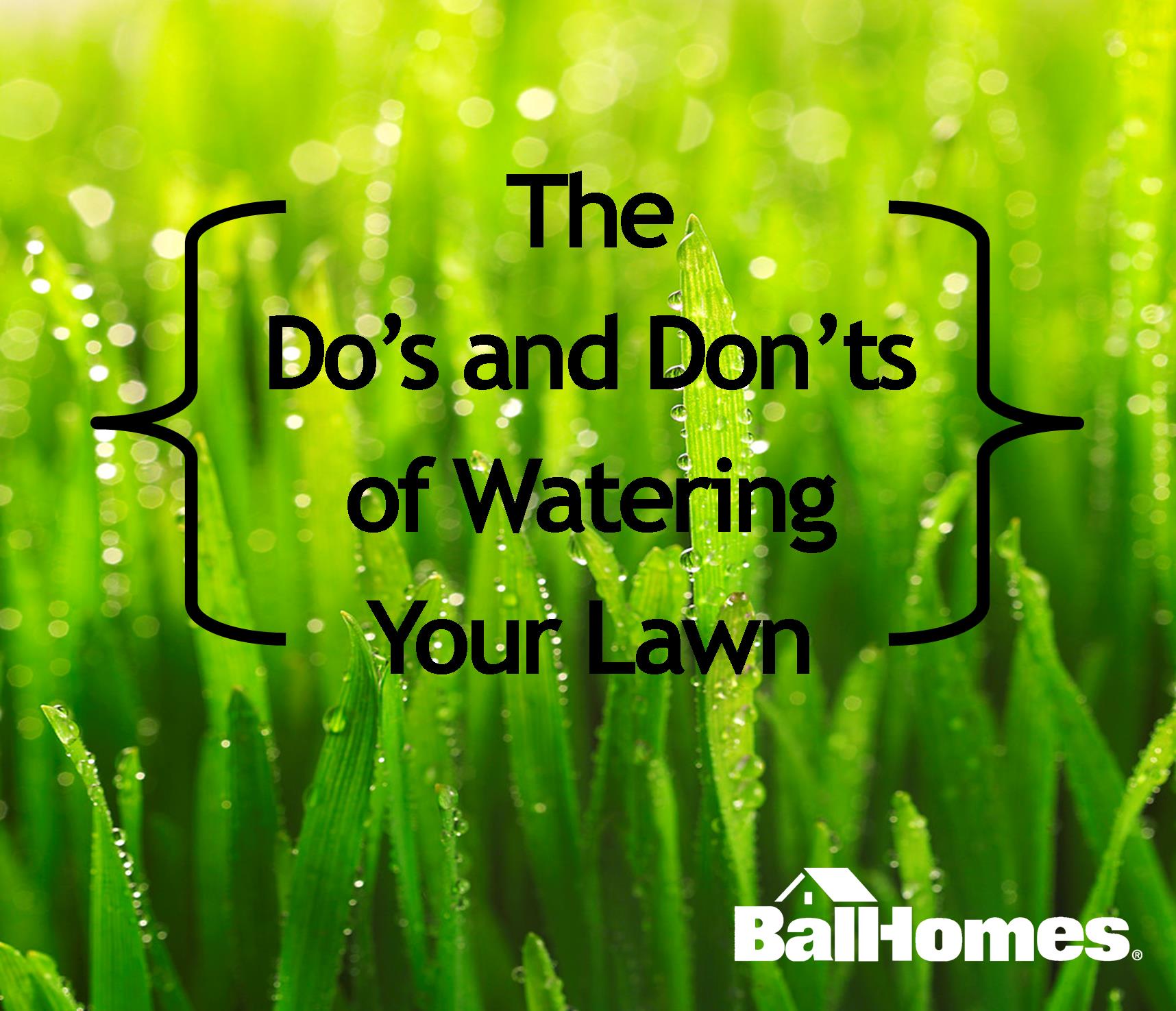 Watering Your Lawn: The Do's And Don'ts